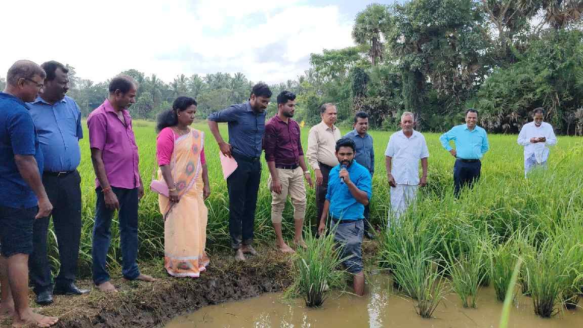 வயல்விழாவும் வர்த்தக ரீதியிலான வீட்டுத்தோட்ட செய்கையும்