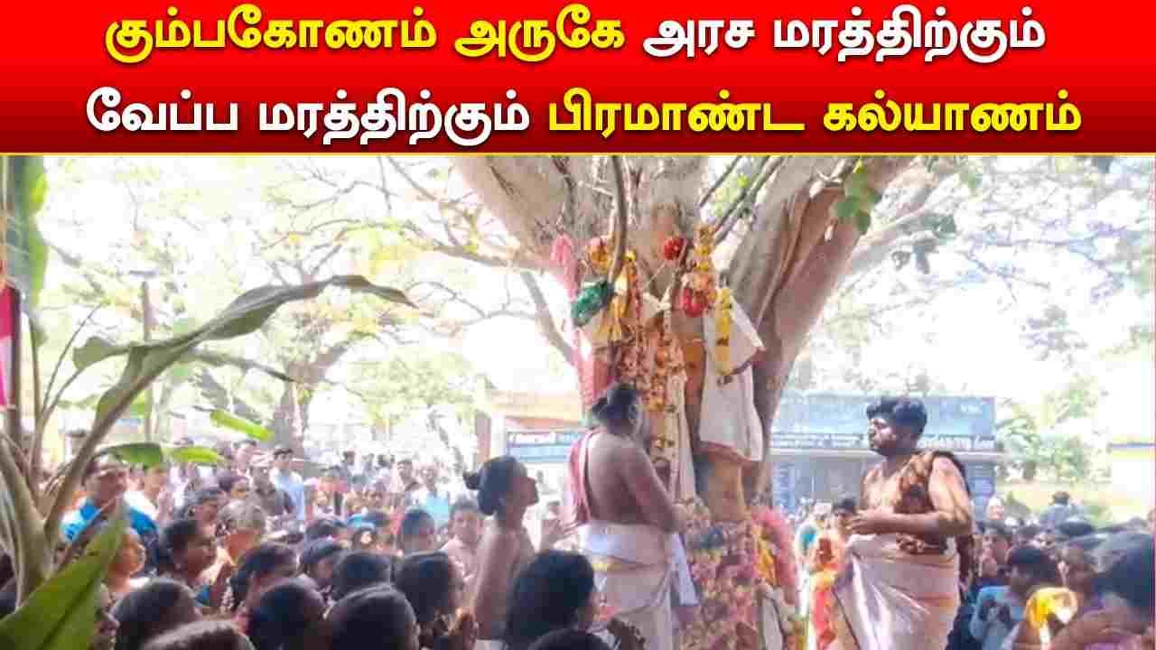 கும்பகோணம் அருகே அரச மரத்திற்கும் வேப்ப மரத்திற்கும் பிரமாண்ட கல்யாணம் 