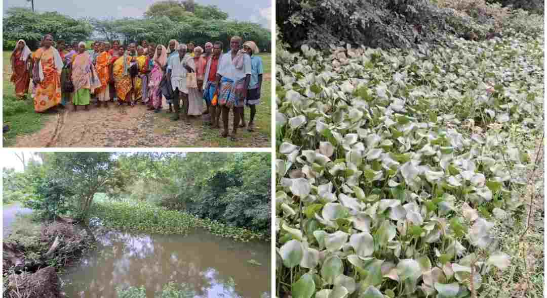 புவனகிரி பகுதியில் வாய்க்கால் தூர் வராமல் போனதால் 5 ஆயிரம் ஏக்கர் மழை நீர் புகும் அபாயம் 