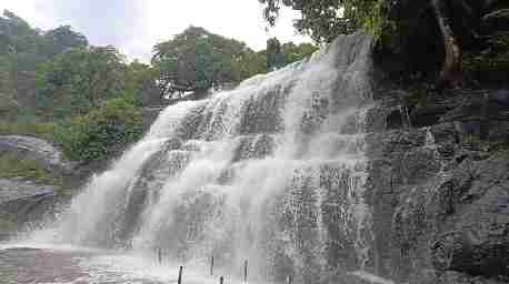 மேகமலை சின்ன சுருளி அருவியில் சுற்றுலா பயணிகளுக்கு வனத்துறை தடை.