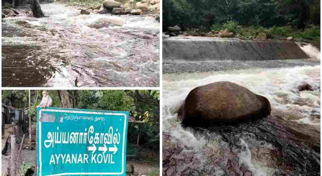 ராஜபாளையம் அருகே மேற்கு தொடர்ச்சி மலையில் பெய்த கன மழை காரணமாக மலையடிவாரத்தில் உள்ள ஆற்றில் வெள்ளப் பெருக்கு 