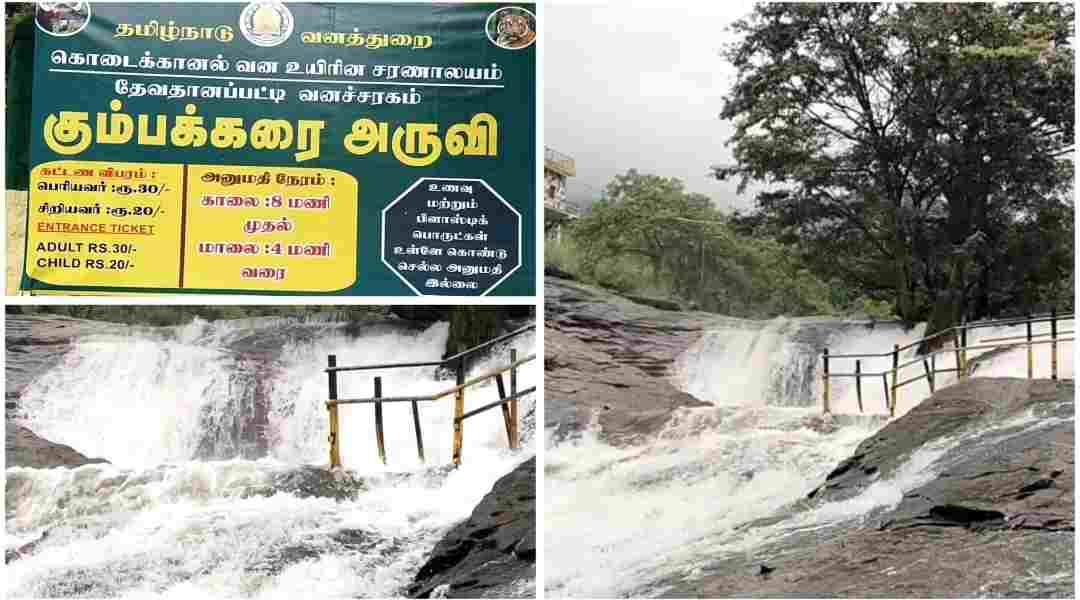 மேற்கு தொடர்ச்சி மலைப் பகுதியில் பெய்த கனமழையால் கும்பக்கரை அருவியில் வெள்ளப்பெருக்கு சுற்றுலா பயணிகள் குளிக்க தடை .