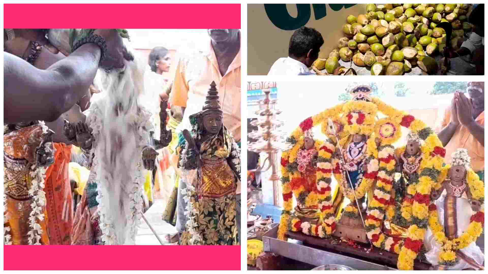 திருவாரூர் அருகே சித்ரா பௌர்ணமியை முன்னிட்டு சுப்பிரமணியசாமிக்கு 500 இளநீர் அபிஷேகம்.