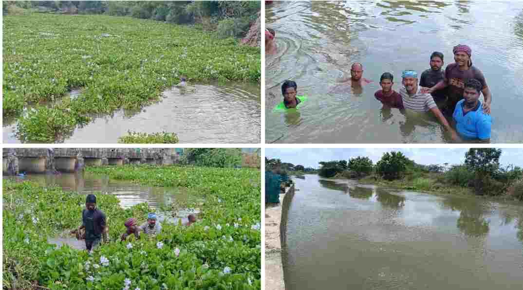 அரசை நம்பி பயனில்லை என  களத்தில் இறங்கிய விவசாயிகள் மற்றும் இளைஞர்களுக்கு குவியும் பாராட்டு