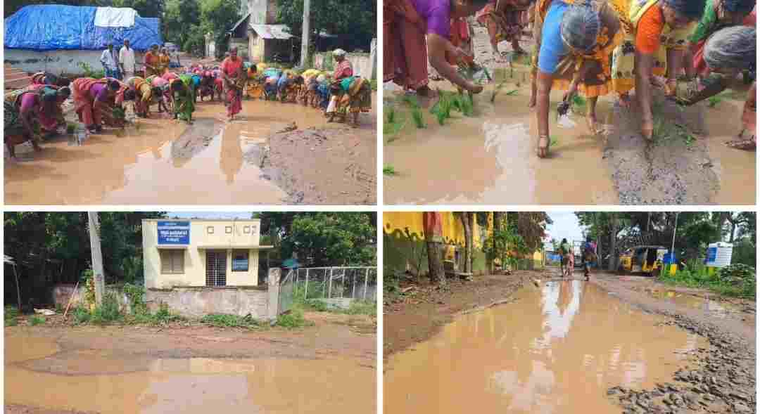 சேத்தியாத்தோப்பு அருகே  நாற்று நடும் போராட்டம்