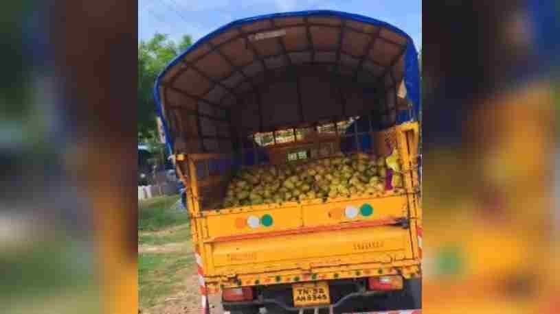 புவனகிரி பகுதி கிராமப்புறங்களில் ரசாயனத்தால் பழுக்க வைத்த மாம்பழங்கள் விற்பனை ஜோராக நடைபெற்று வரும் அவலம்