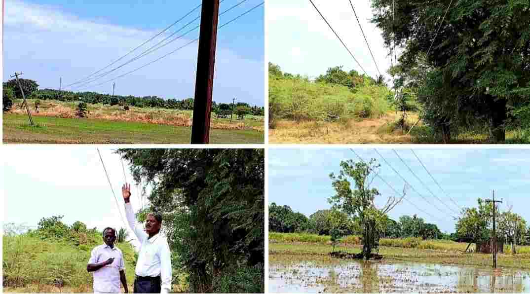 வலங்கைமான் பகுதியில் தாழ்வாக செல்லும் மின் கம்பிகளால் விவசாய நடவு பணிகள் பாதிப்பு.