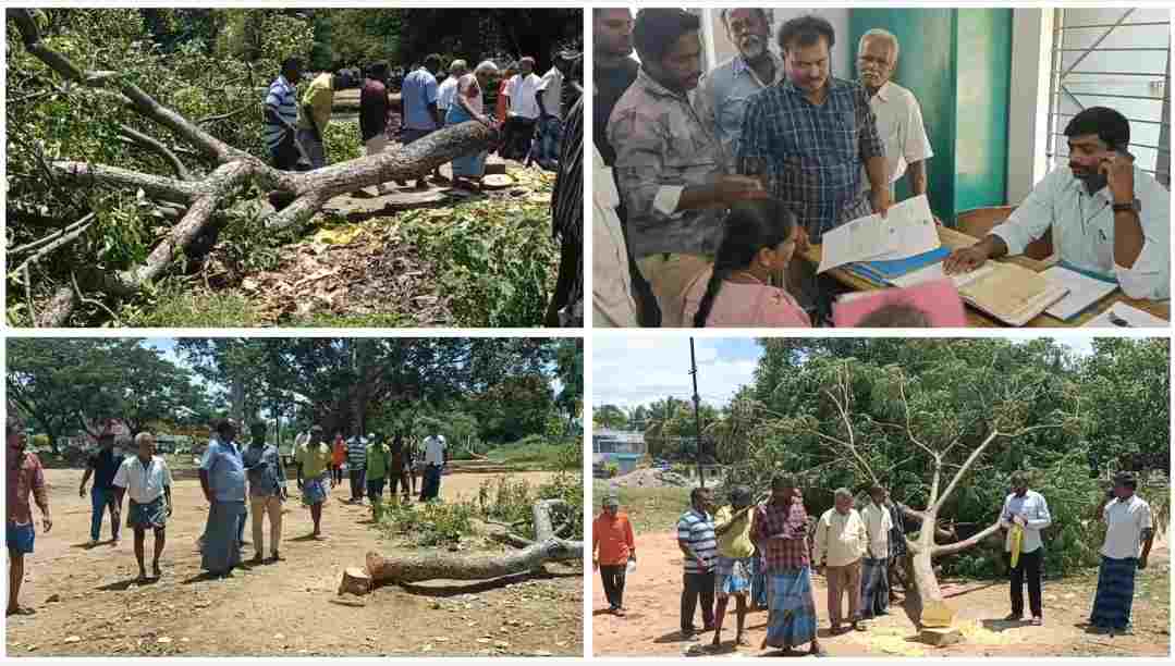 கிருஷ்ணகிரி அருகே பழமையான மரங்களை வெட்டி சாய்க்கப்பட்டதால் பரப்பரப்பு.