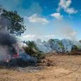 attack-on-the-farmer-ignites-a-straw-war.jpg