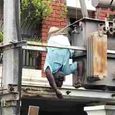 electrical-worker-was-electrocuted-while-climbing.jpg