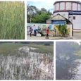 giant-drinking-water-pipe-leading-to-nagapattinam.jpg