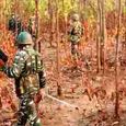 seven-maoists-were-killed-in-an-encounter-in-chhat.jpg