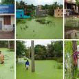 thiruvallur-rain-water.jpg