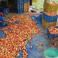 tomato-price-hike.jpg