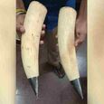 two-elephant-tusks-worth-60-lakhs-were-seized-.jpg