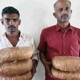 two-persons-carrying-ganja-were-arrested-.jpg