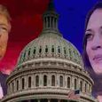 us-election-2024-updates-kamala-harris-donald-trump-make-final-all-out-campaign-push-ahead-of-election-.jpg